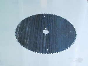 50620031