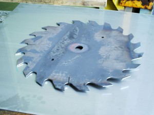 50620036